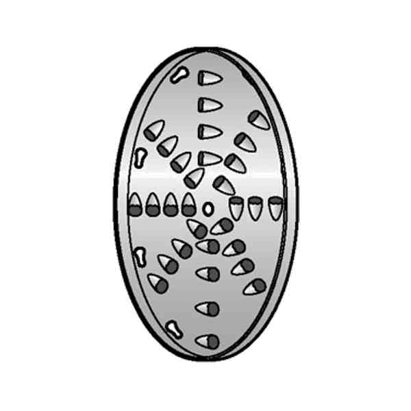 Alfa International VS-12SD-3/32 Shredding Grating Disc Plate