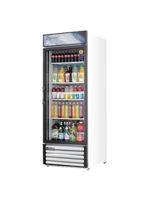 Bison BFM-4 Mini Freezer —